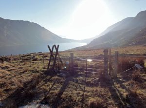 High Quality, In Focus