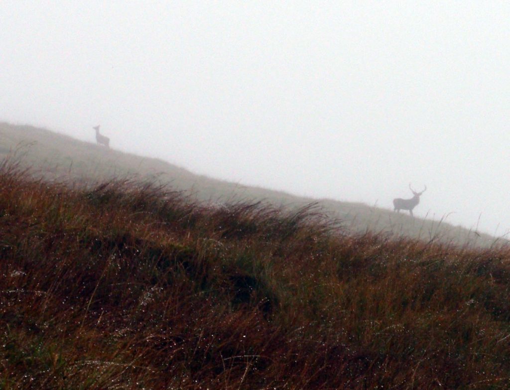 Places, Scotland, UK