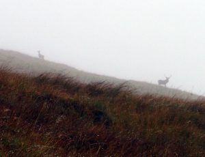 Places, Scotland, UK