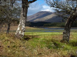 Events, Places, Scotland, TGO Challenge, UK