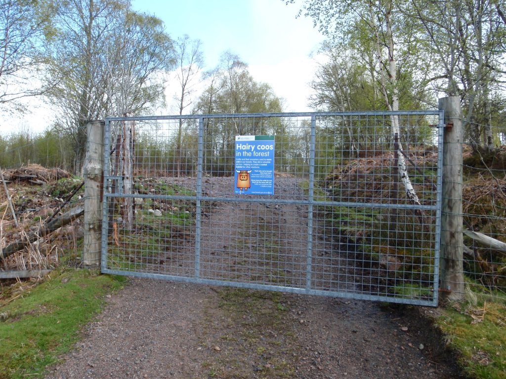 Events, Places, Scotland, TGO Challenge, UK