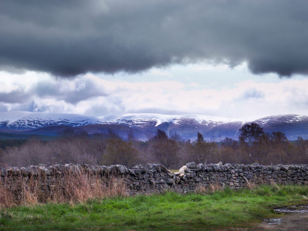 Events, Places, Scotland, TGO Challenge, UK