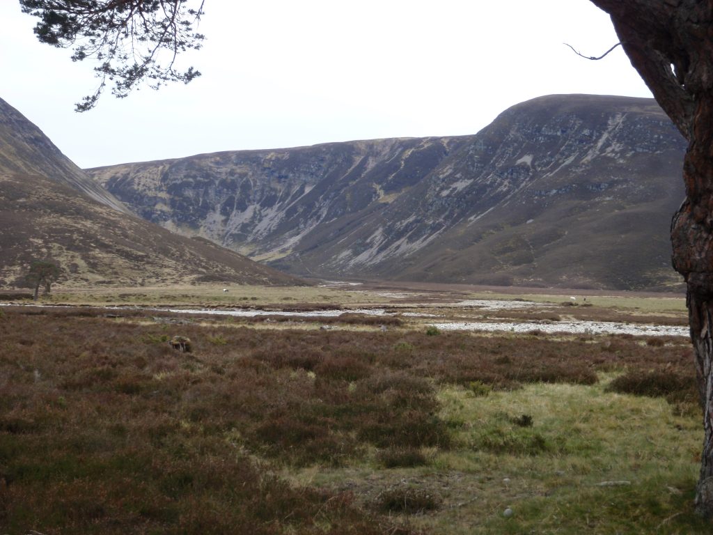 Events, Places, Scotland, TGO Challenge, UK