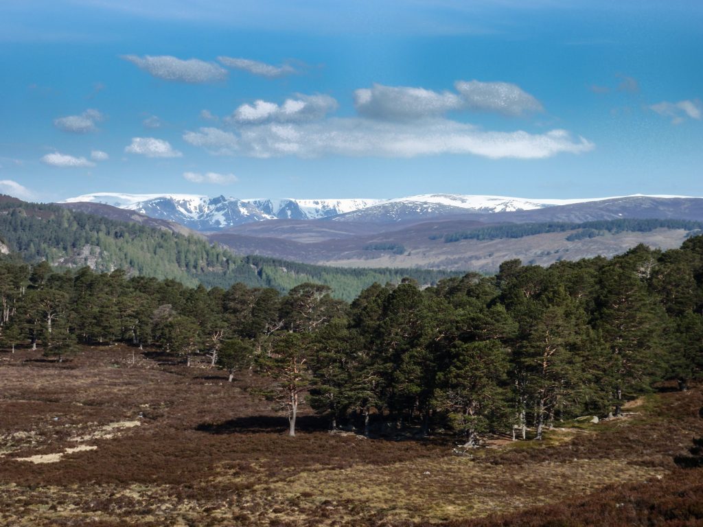 Events, Places, Scotland, TGO Challenge, UK