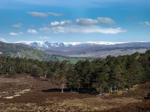 Events, Places, Scotland, TGO Challenge, UK