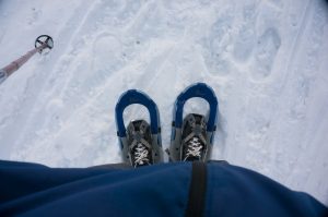 Family, Norway, People, Places, pm