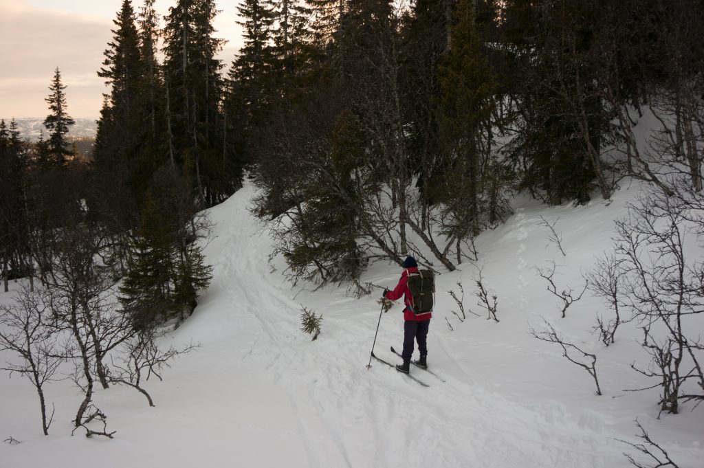 Family, Jan, Norway, People, Places
