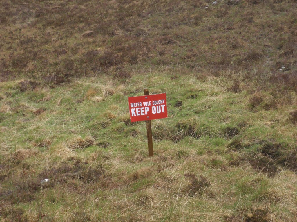 Events, Places, Scotland, TGO Challenge, TGO_2014, UK