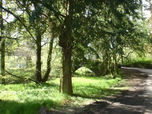 Events, Places, Scotland, TGO Challenge, TGO_2014, UK