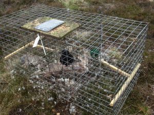 Events, Places, Scotland, TGO Challenge, TGO_2014, UK