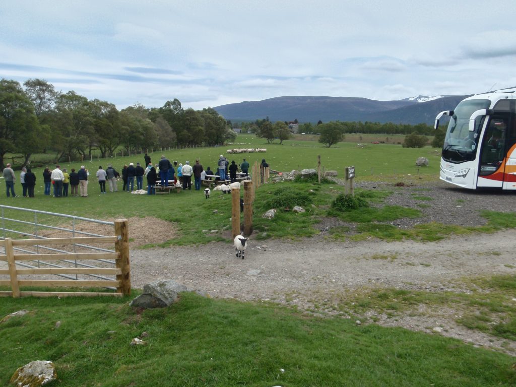 Events, Places, Scotland, TGO Challenge, TGO_2014, UK