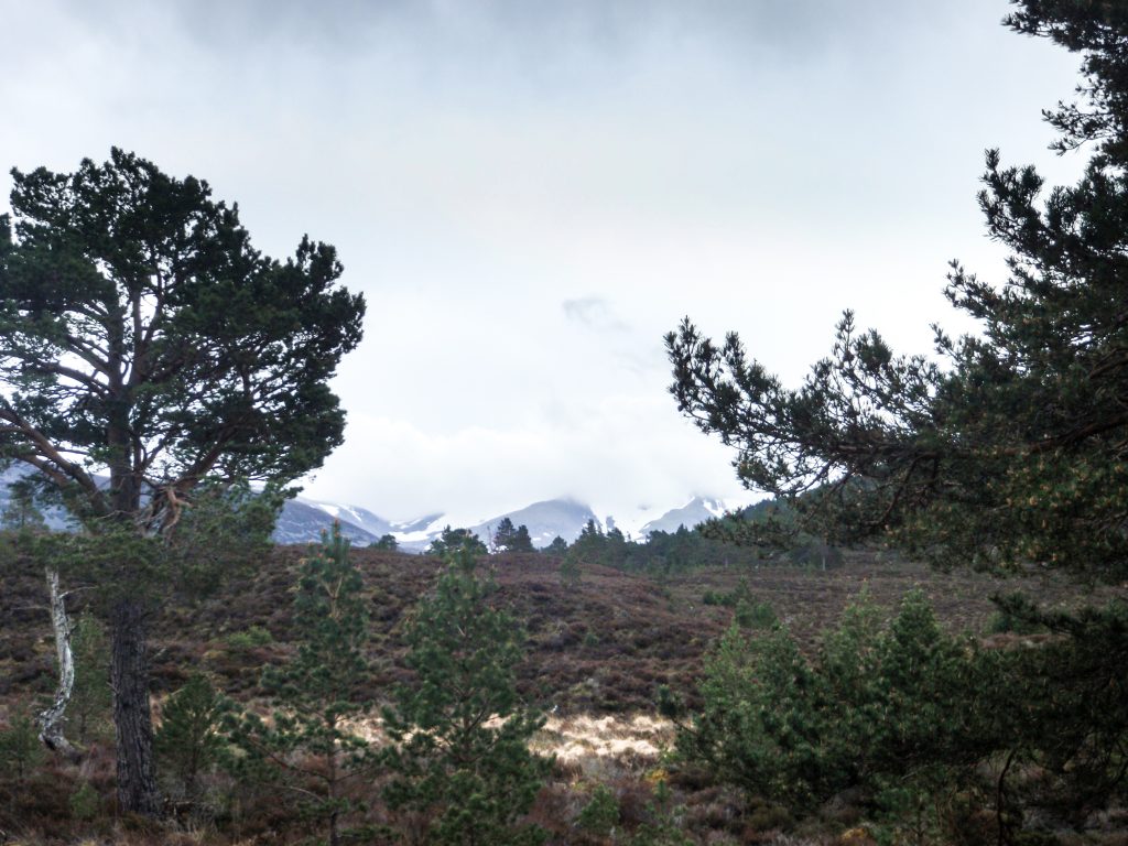 Events, Places, Scotland, TGO Challenge, TGO_2014, UK