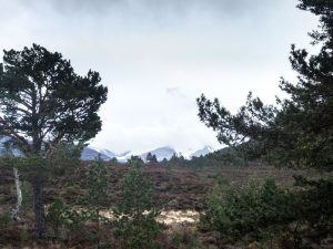 Events, Places, Scotland, TGO Challenge, TGO_2014, UK