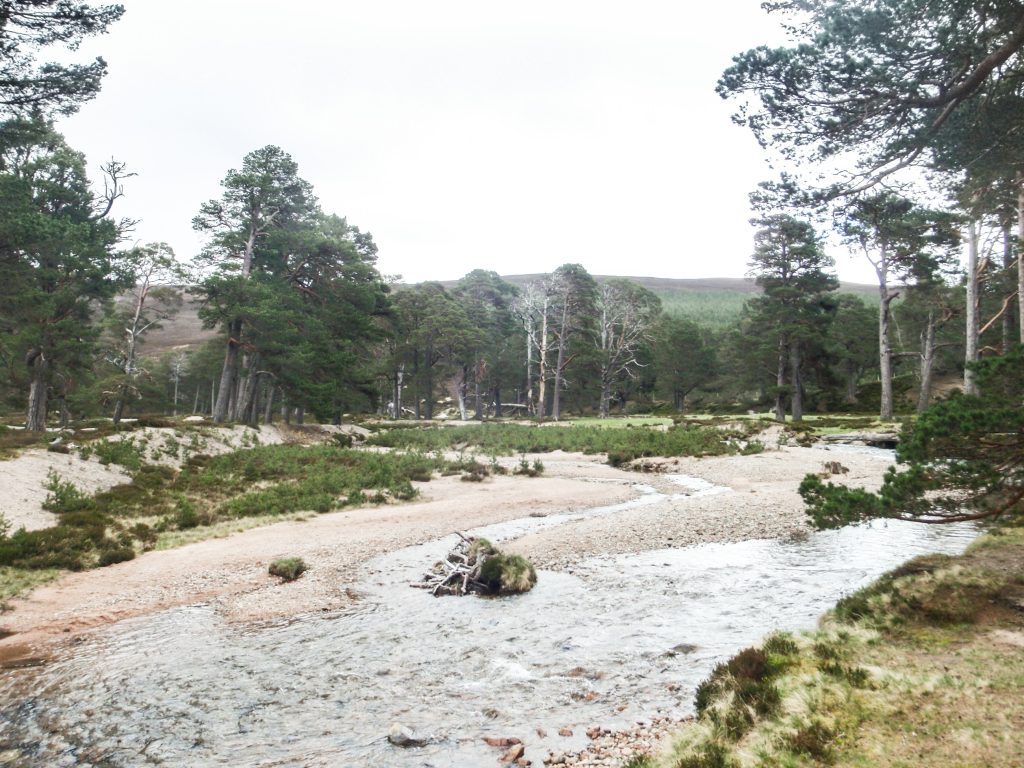 Events, Places, Scotland, TGO Challenge, TGO_2014, UK