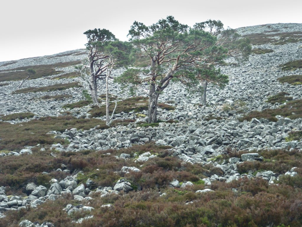 Events, Places, Scotland, TGO Challenge, TGO_2014, UK