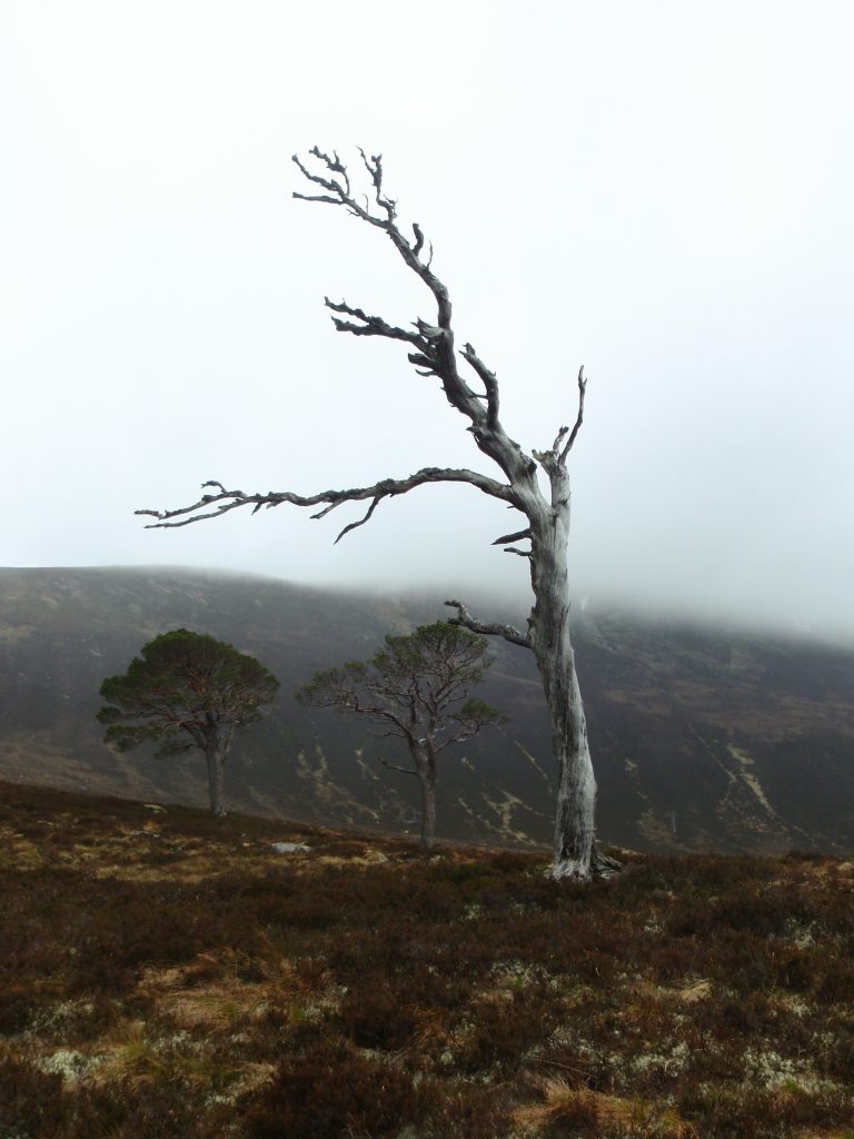 Events, Places, Scotland, TGO Challenge, TGO_2014, UK