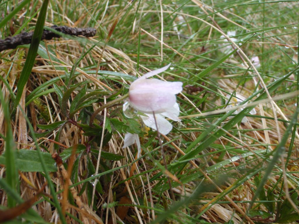 Events, Places, Scotland, TGO Challenge, TGO_2014, UK