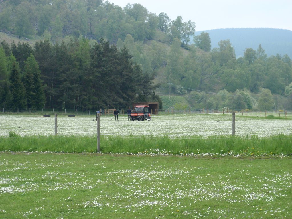 Events, Places, Scotland, TGO Challenge, TGO_2014, UK