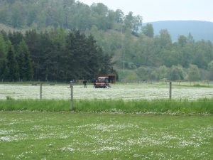 Events, Places, Scotland, TGO Challenge, TGO_2014, UK