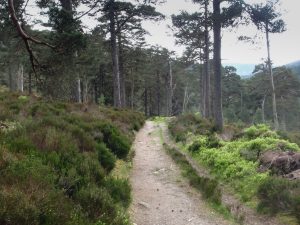 Events, Places, Scotland, TGO Challenge, TGO_2014, UK