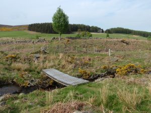 Events, Places, Scotland, TGO Challenge, TGO_2014, UK