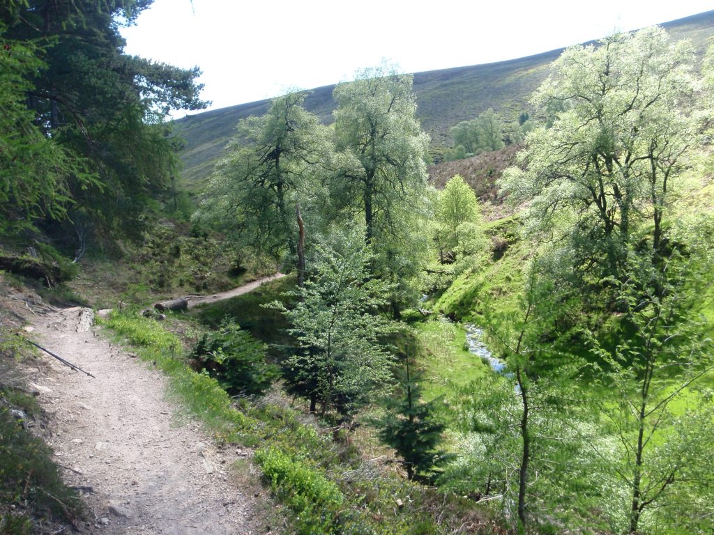 Events, Places, Scotland, TGO Challenge, TGO_2014, UK