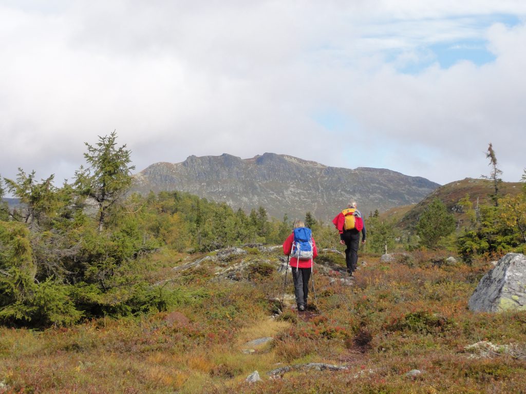 Family, Jan, Norway, People, Places, kari