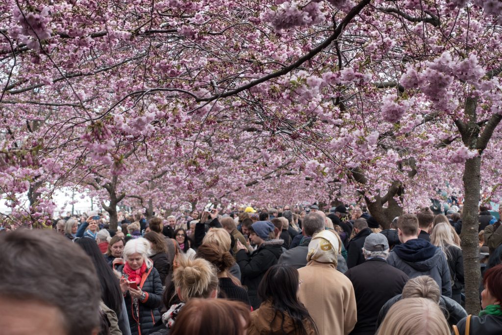 Places, Stockholm, Sweden