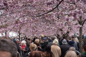Places, Stockholm, Sweden