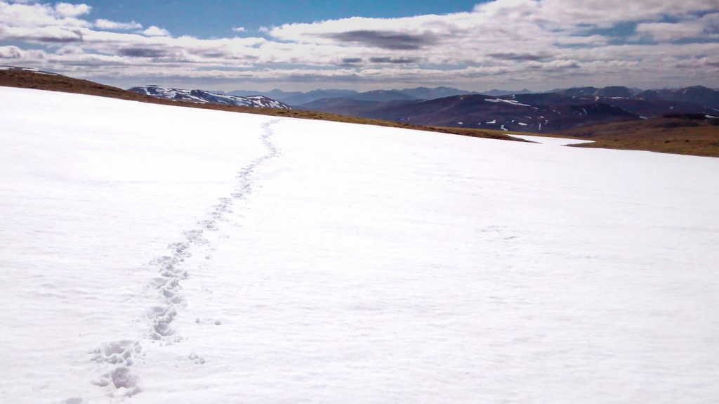 Events, Places, Scotland, TGO Challenge, UK