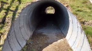 Events, Places, Scotland, TGO Challenge, UK