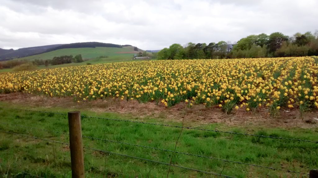 Events, Places, Scotland, TGO Challenge, UK