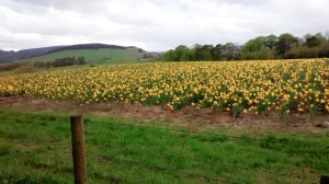 Events, Places, Scotland, TGO Challenge, UK