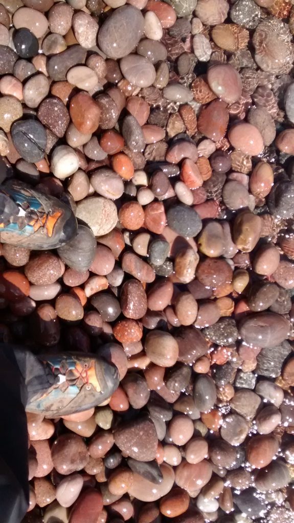 Events, Places, Scotland, TGO Challenge, UK