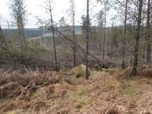 Events, Places, Scotland, TGO Challenge, UK