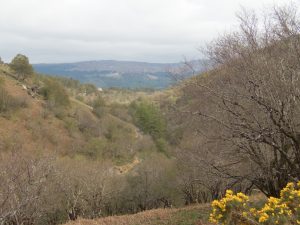 Events, Places, Scotland, TGO Challenge, UK