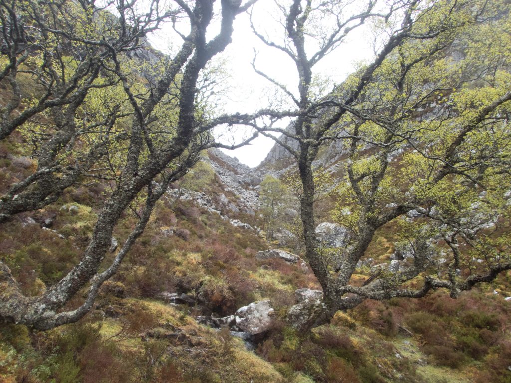 Events, Places, Scotland, TGO Challenge, UK