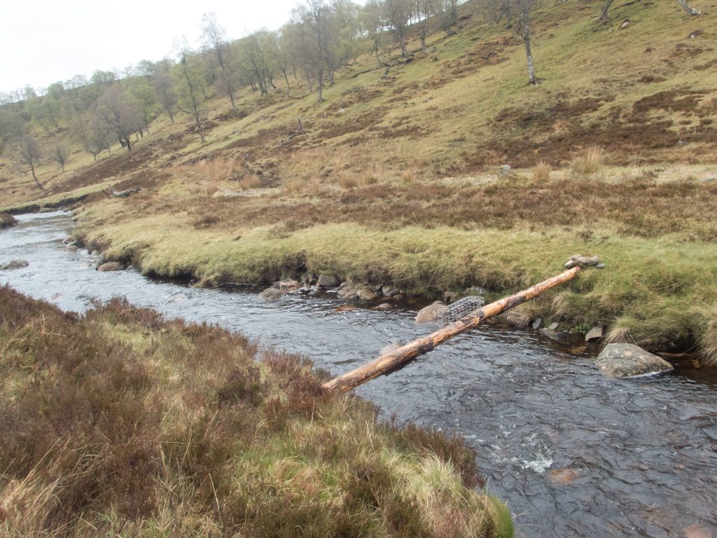 Events, Places, Scotland, TGO Challenge, UK