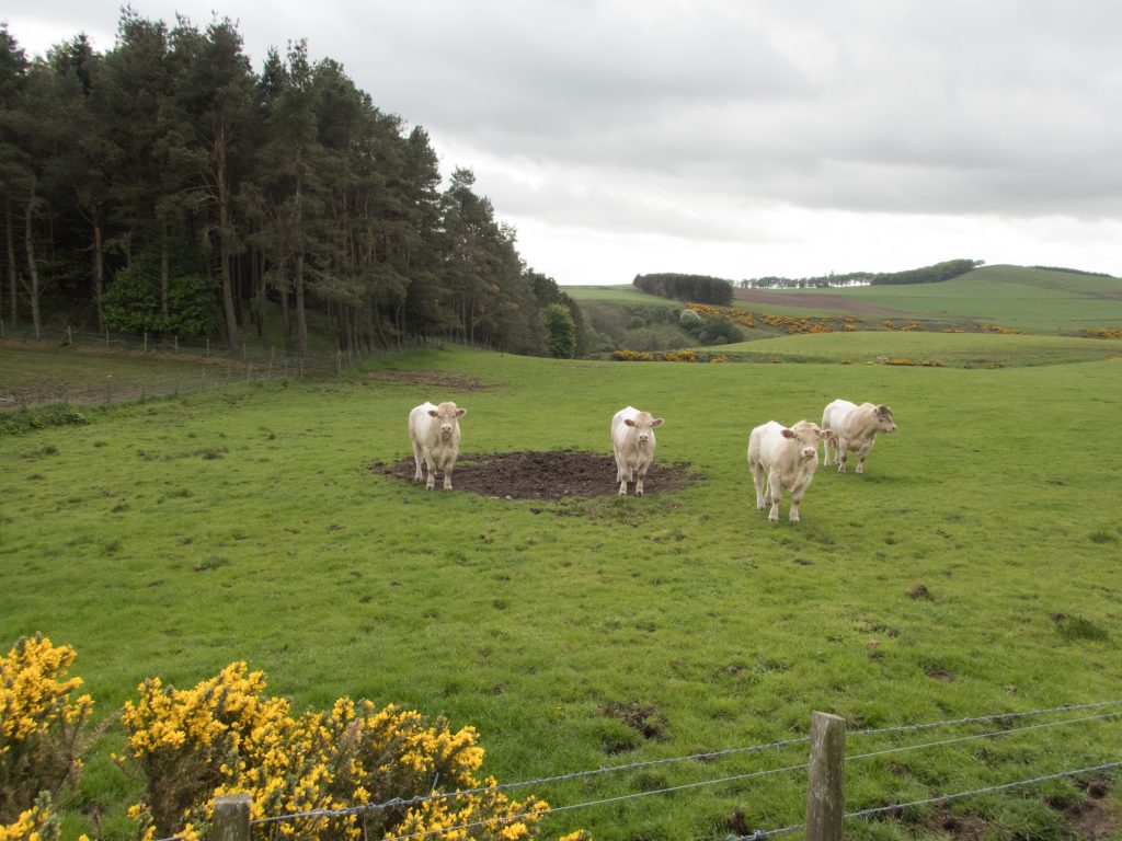 Events, Places, Scotland, TGO Challenge, UK