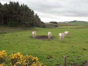 Events, Places, Scotland, TGO Challenge, UK