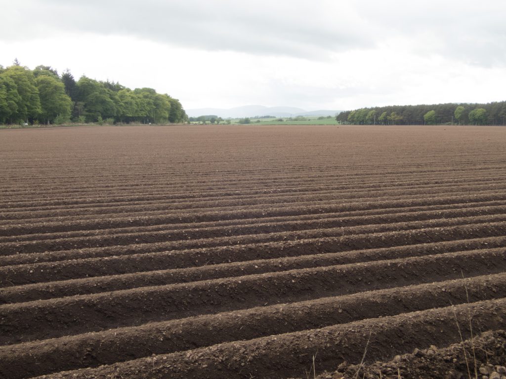 Events, Places, Scotland, TGO Challenge, UK