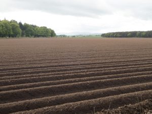 Events, Places, Scotland, TGO Challenge, UK