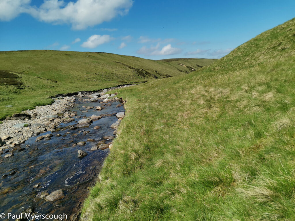 Waters of Mark