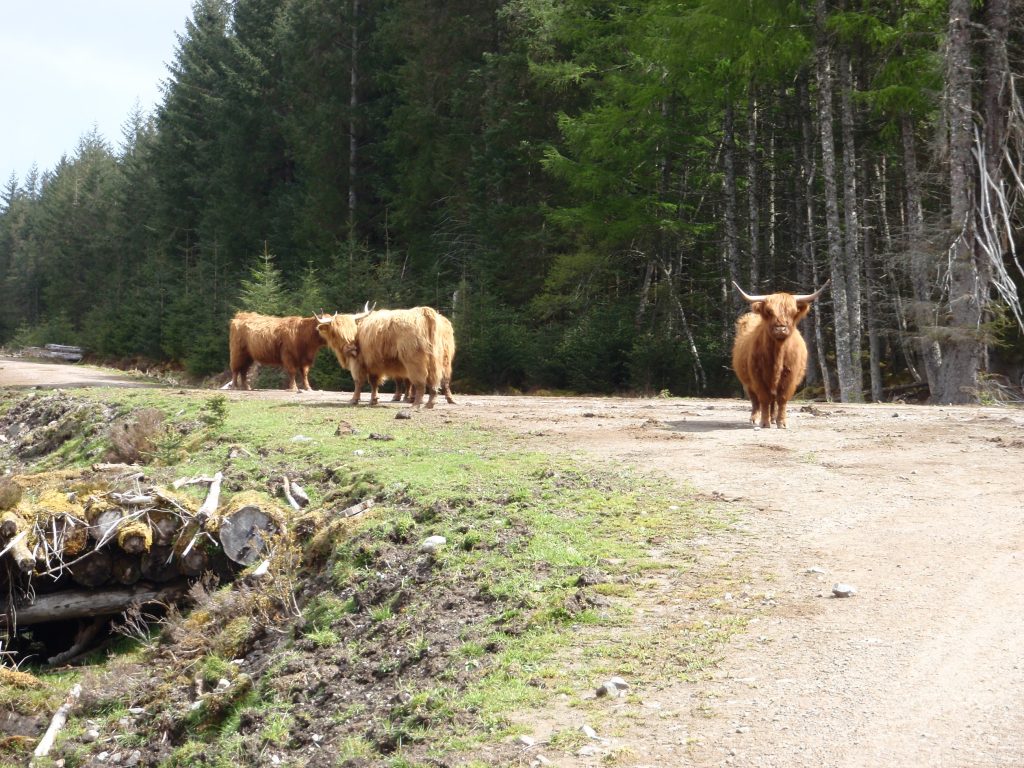 Events, Places, Scotland, TGO Challenge, UK