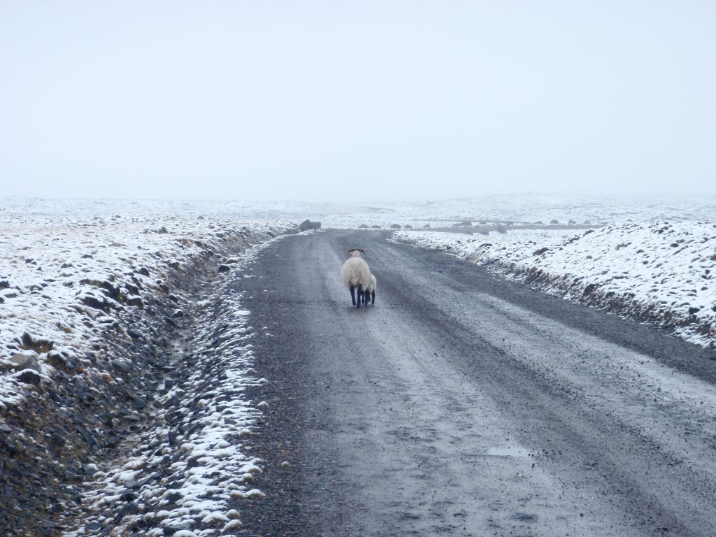 Events, Places, Scotland, TGO Challenge, UK