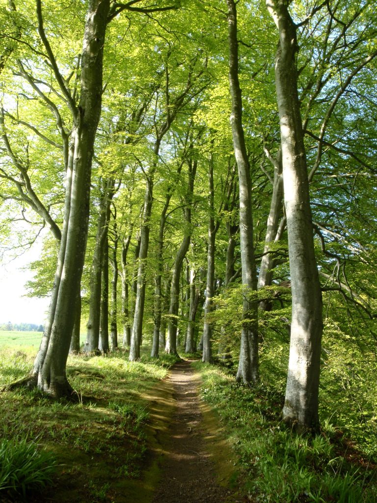 Events, Places, Scotland, TGO Challenge, UK