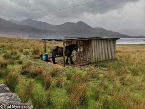 Events, Places, Scotland, TGO Challenge, UK