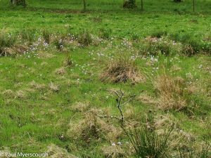 Events, Places, Scotland, TGO Challenge, UK