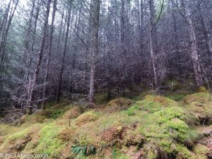 Events, Places, Scotland, TGO Challenge, UK