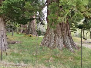 Events, Places, Scotland, TGO Challenge, UK